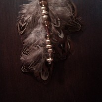 Imag0242_medium