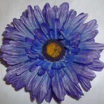 100_1148_medium