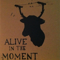 Aliveinthemoment_stcd_medium