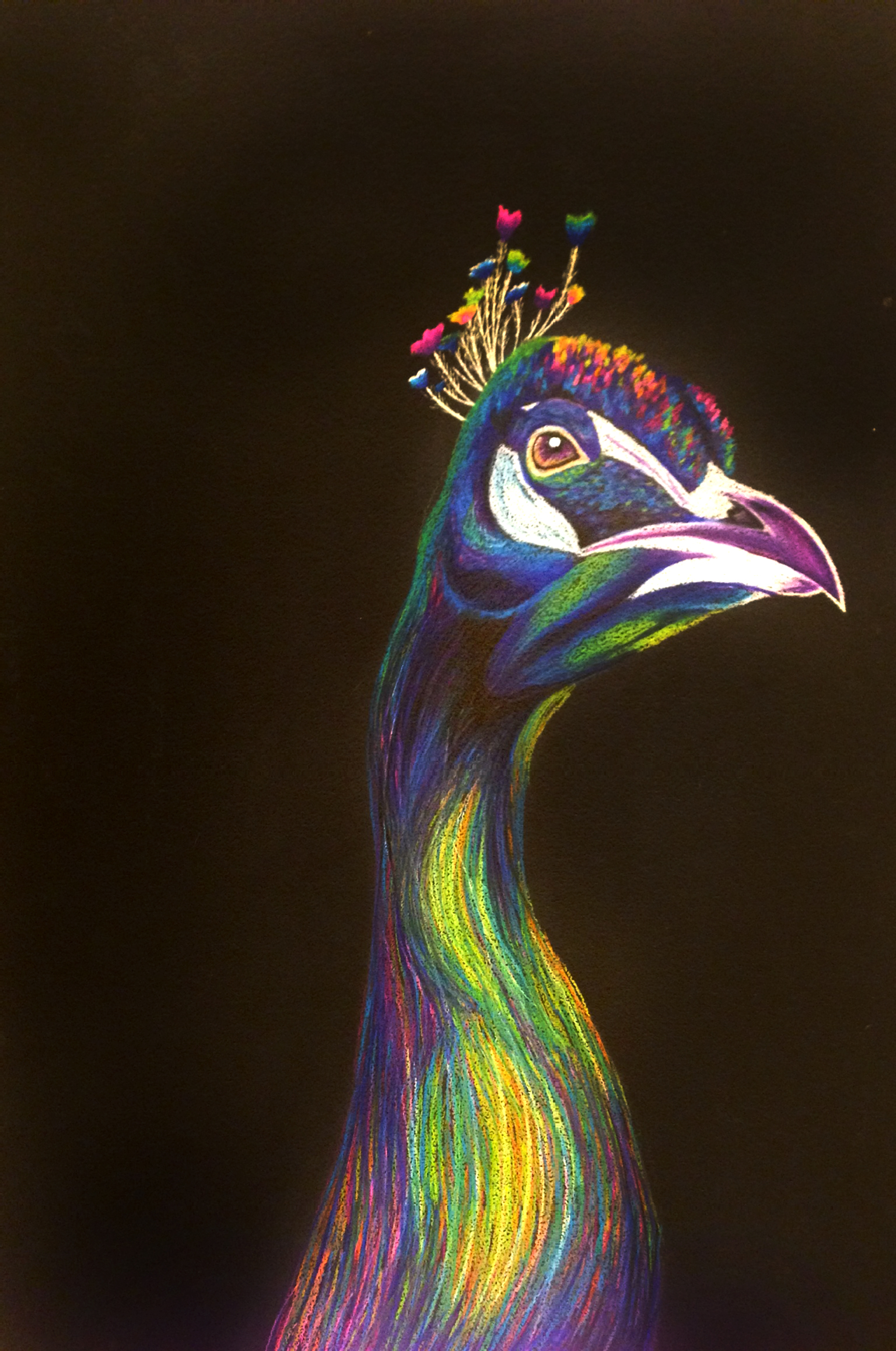 Peacock Print on Storenvy