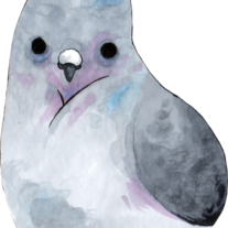 Seem_medium
