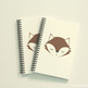 Fox1_small