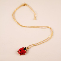 Ladybug_20curve_medium