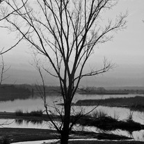 Kayeseaboch-5373_medium