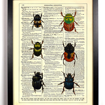 Image of Beetle Bugs, Vintage Dictionary Print, 8 x 10