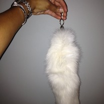 White Fox Tail (Brandnew)