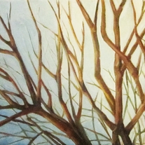 Forestation3_bak_medium