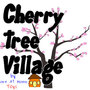 Ctvlogo_small