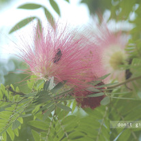 Don't Give Up (Bee)