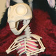 Skunk2_small