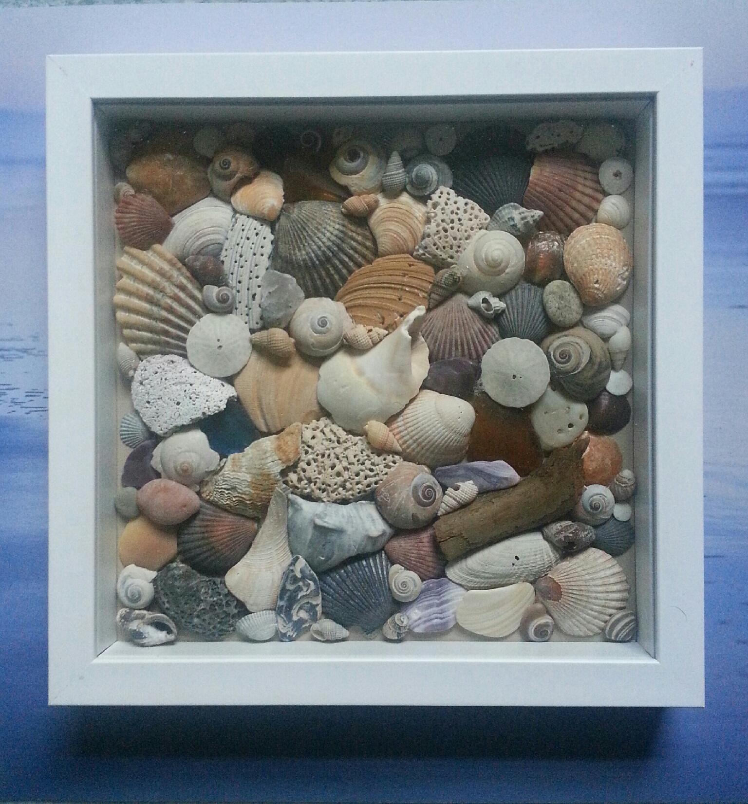 Shore Finds White Shadow Box 8in x 8in · Shore Treasures · Online Store
