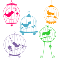 Birdsandcages_01_medium