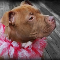 Dsc_0256_medium