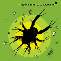 Wc1_cover_600_medium