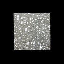 Gris01_medium