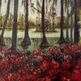 Dscf0231_small