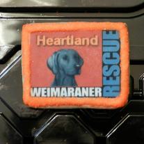 Photo Cookies