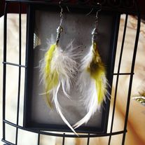 Img_1674_medium