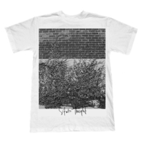 Wallshirt_original_medium