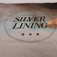 Silver1_small