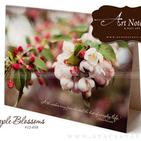 Appleblossoms-2012_medium