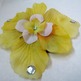 Yellow_201_small