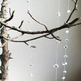 Icicles8b_small
