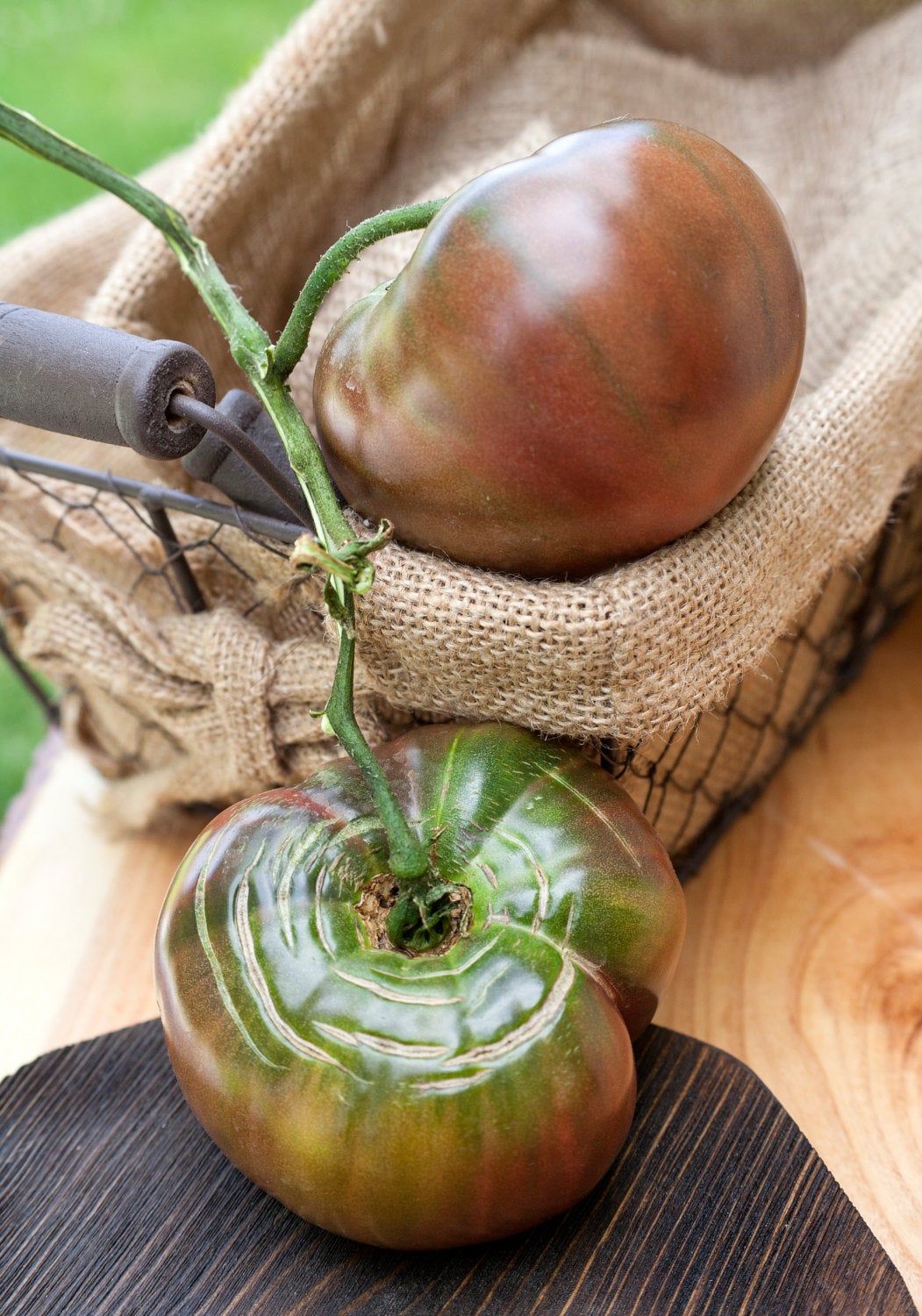 Black Krim Heirloom Tomato Premium Seed Packet · Sherwood's Seeds