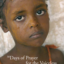 V4v_cover_medium