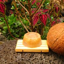 Coconut Loofah Soap