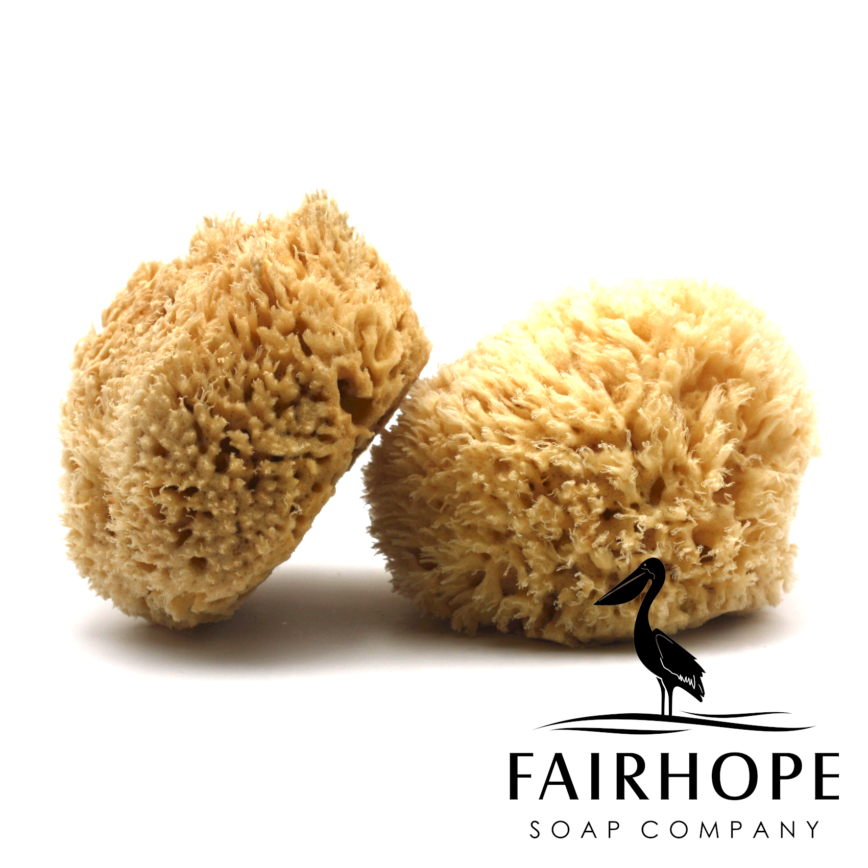 Gulf Coast Natural Sheep's Wool Sponge · Fairhope Soap Company · Online
