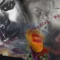 Artcollage_medium