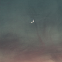 Abstract 5