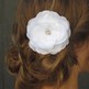 White_20comb_202_small