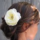 Yellow_20hair_20comb_202_small