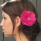 Fuschia_20comb1_small