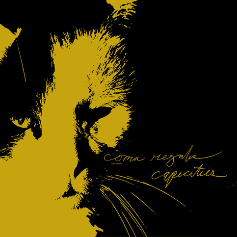 Coma Regalia / Capacities - Split 7"