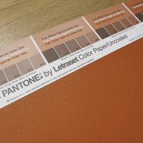 Vintage PANTONE® Poster - Pantone 718U 