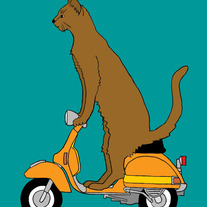 Cat on Vespa, 5x7 print