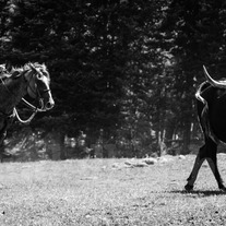 Bmr_20(43_20of_2067)_medium