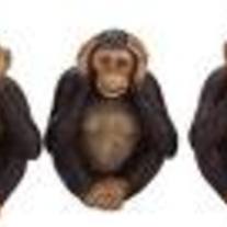 Monkeys
