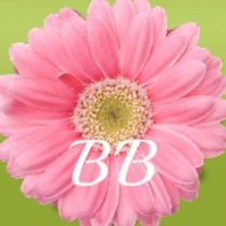 Bloominbowtique-profile