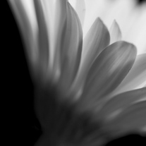024