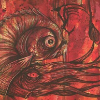 Squid