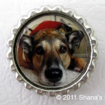 ShanasShop