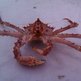 Phone_pics_052