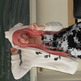 Dscn1427