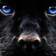 Imagescaa4ikv5