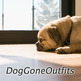 Smdglogooutfitslogoto