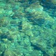P1180794